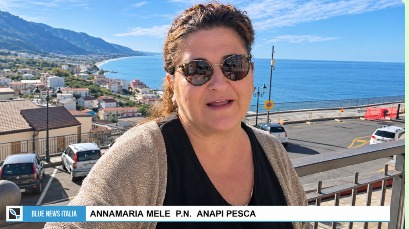 Pescherecci e flotta italiana - Visione 2040 ANAPI Pesca